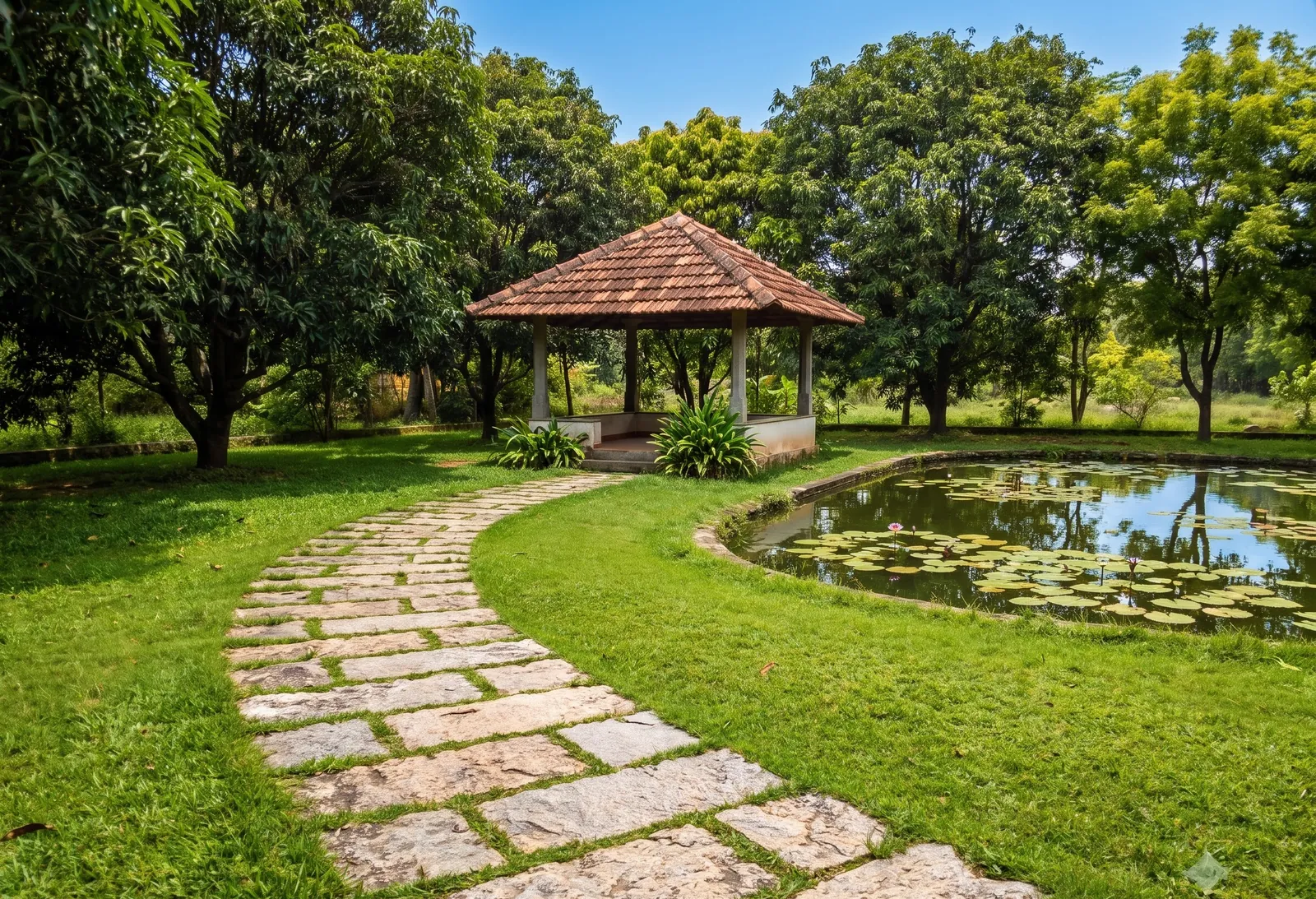 A timber gazebo on a lawn among farm trees on a sunny day